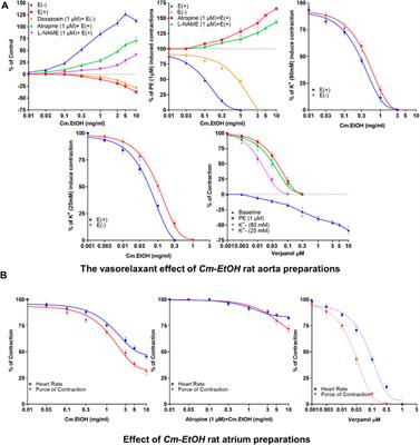 Cardioprotective and hypotensive mechanistic insights of hydroethanolic extract of Cucumis melo L. kernels in isoprenaline-induced cardiotoxicity based on metabolomics and in silico electrophysiological models